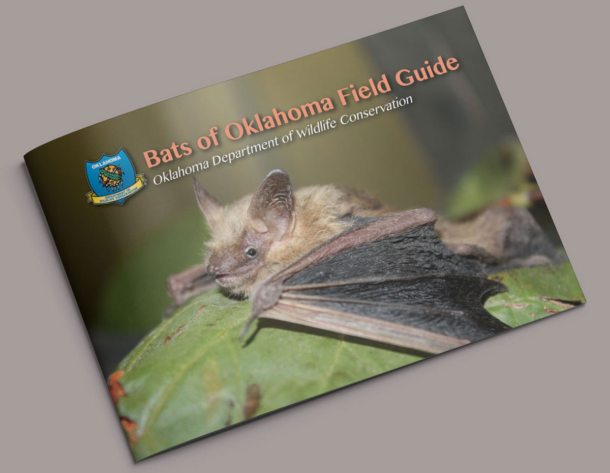 Oklahoma Bat Field Guide booklet cover