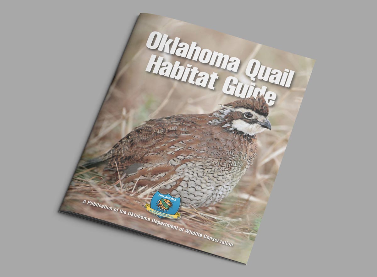 Oklahoma Quail Habitat Guide