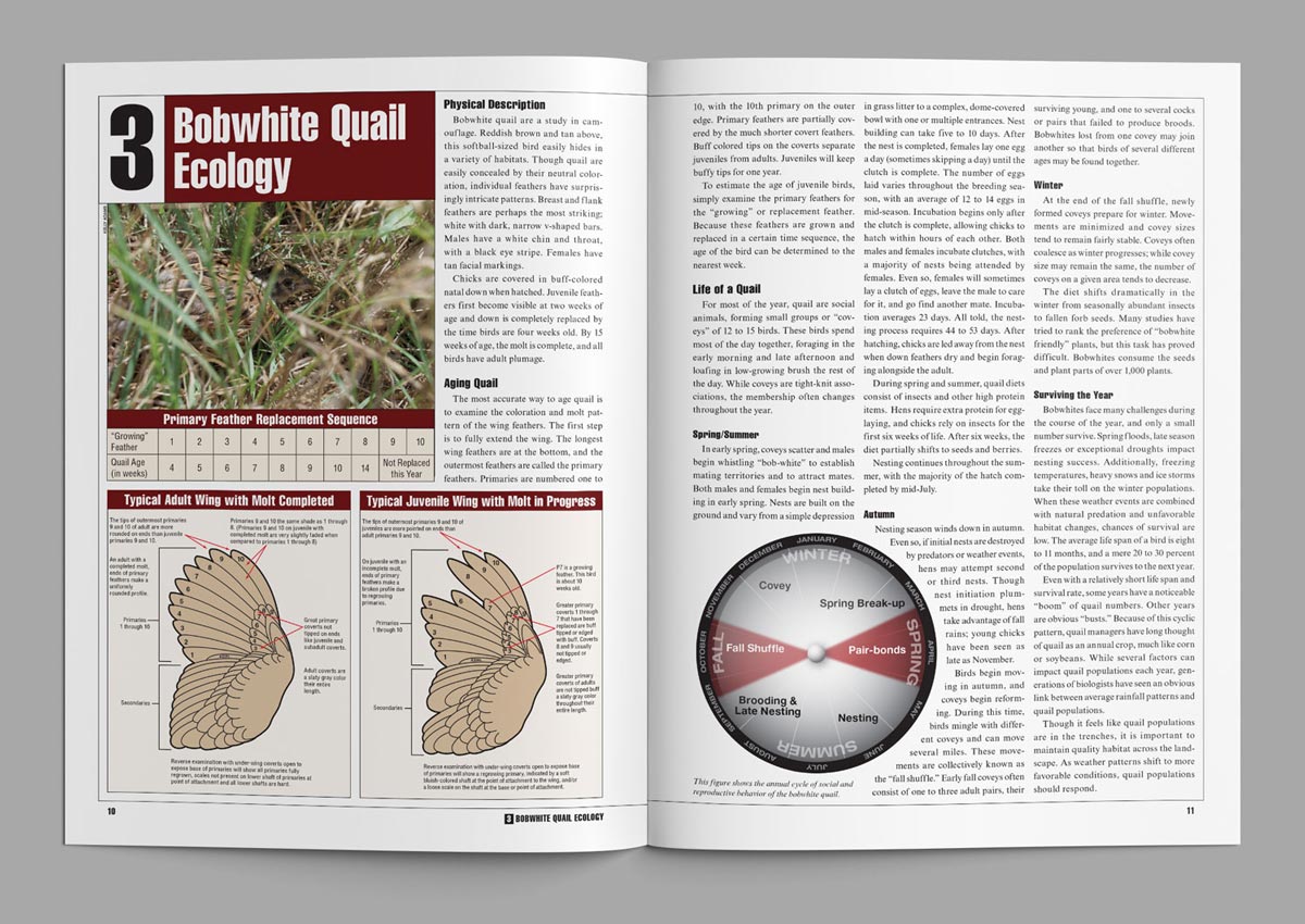 Oklahoma Quail Habitat Guide