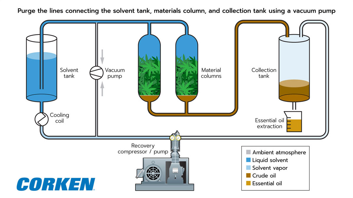 Process map showing the steps involved in CBD oil extraction