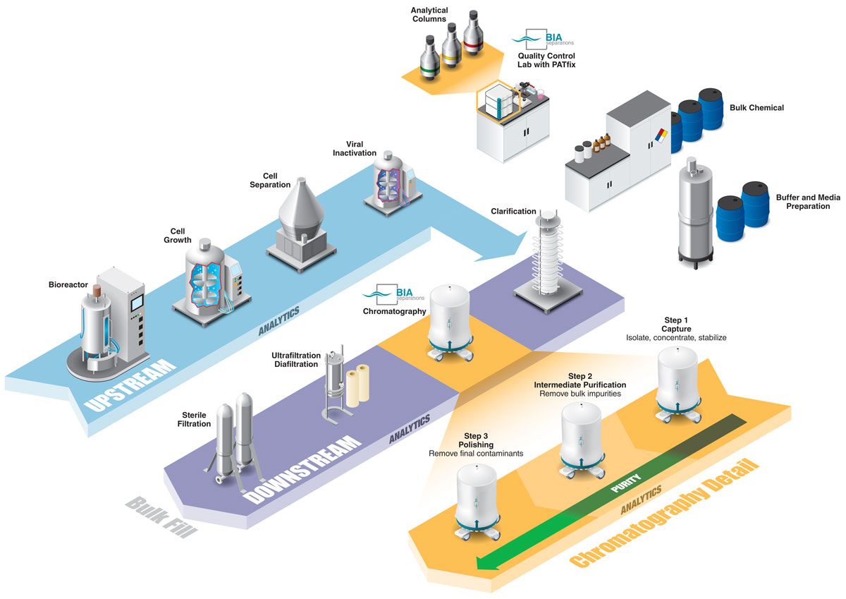 Isometric infographic for upstream and downstream processes in chromatography