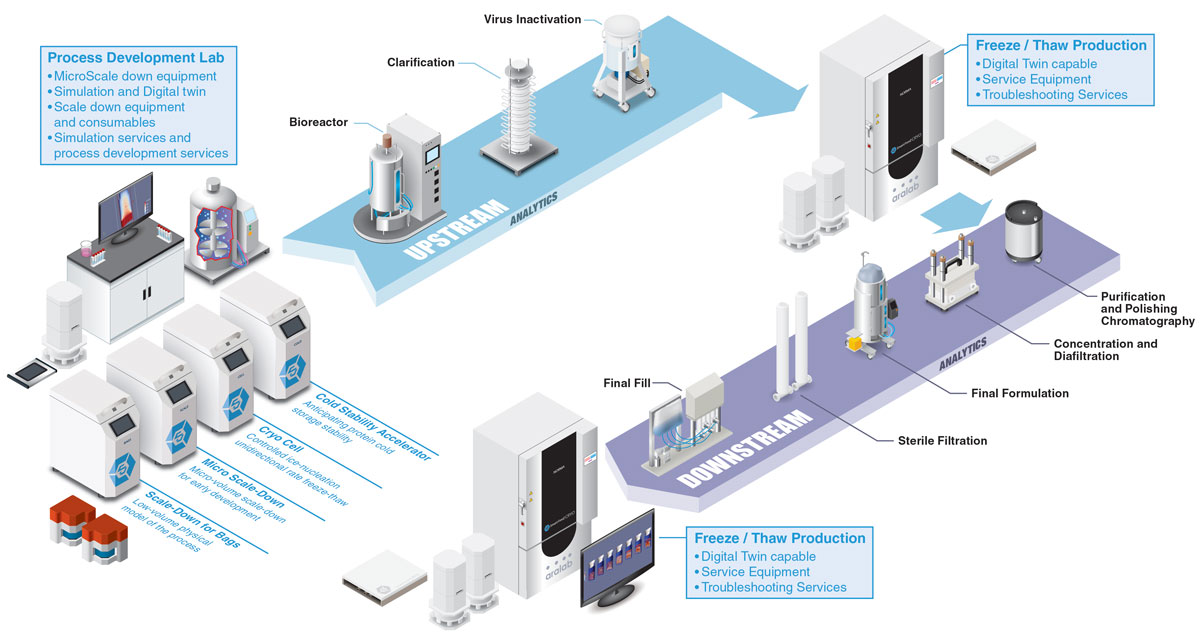 Isometric infographic for upstream and downstream laboratory processes