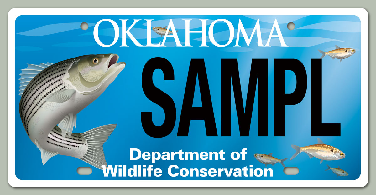 Oklahoma striped bass license plate