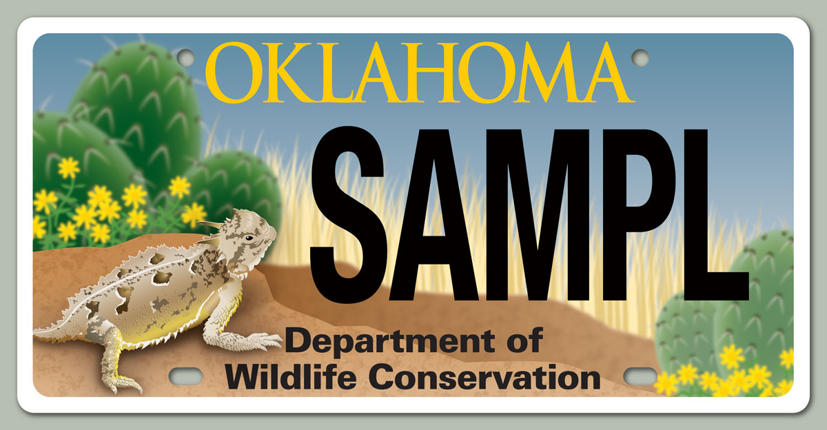 Oklahoma Texas horned lizard plate