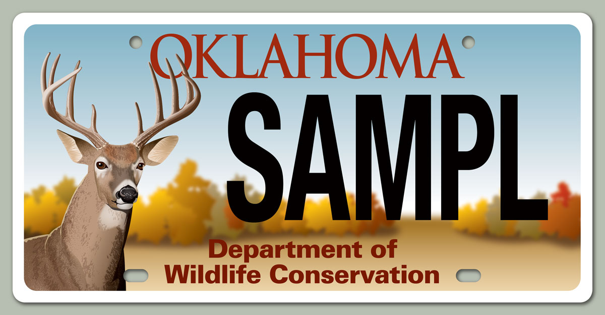 Oklahoma white-tailed deer buck license plate