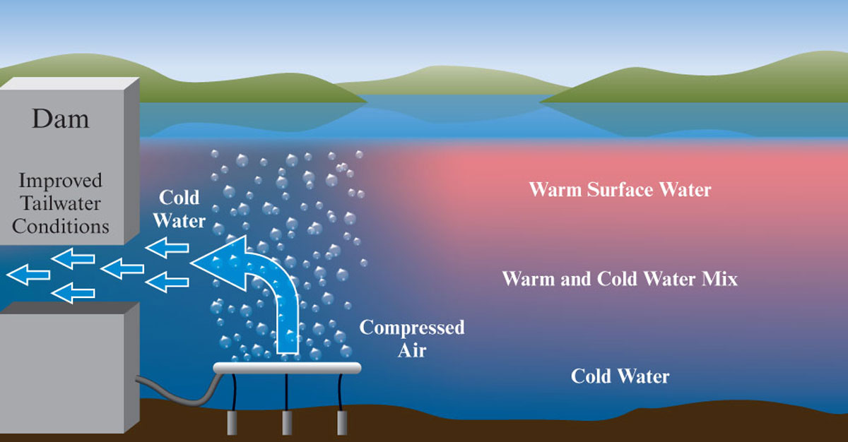 Process map showing a bubble diffuser cooling water.