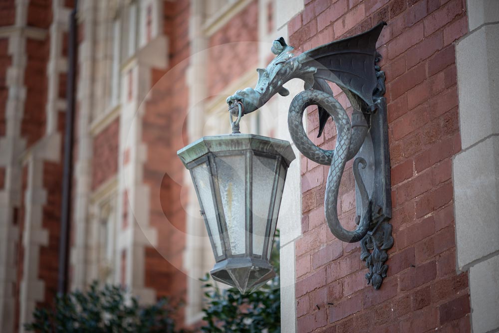 University of Oklahoma Wyvern Lantern Holder